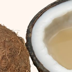 Visuel noix de coco